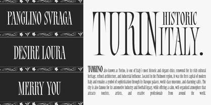 Bersa Serif Font Poster 6