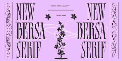 Bersa Serif Font Poster 1
