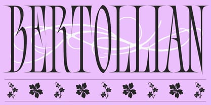 Bersa Serif Font Poster 3