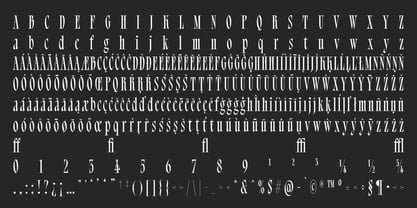Bersa Serif Font Poster 13