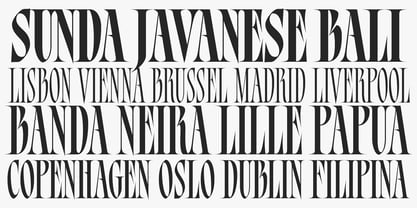Bersa Serif Font Poster 14