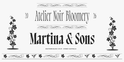 Bersa Serif Font Poster 5