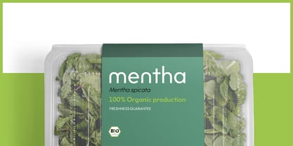 Bauhold Font Poster 9