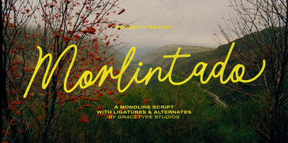 Morlintado Font Poster 1