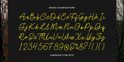 Morlintado Font Poster 10