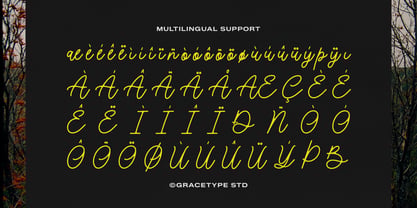 Morlintado Font Poster 11