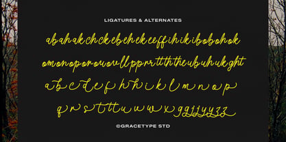 Morlintado Font Poster 12