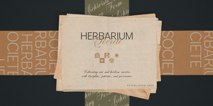 Armonia Font Poster 11