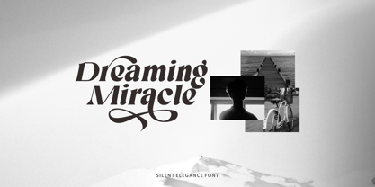 Silent Elegance Font Poster 7