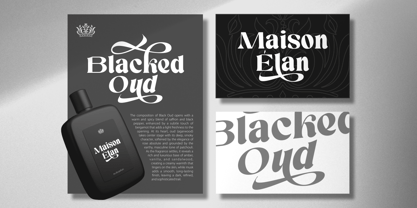Silent Elegance Font Poster 8