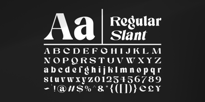 Silent Elegance Font Poster 9