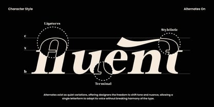 NL Zeist Qisofay Font Poster 6
