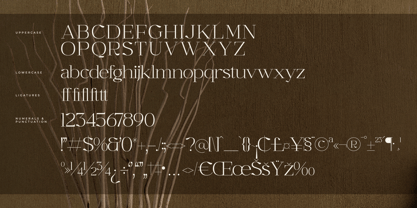 Graflows Font Poster 7