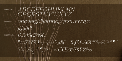 Graflows Font Poster 8