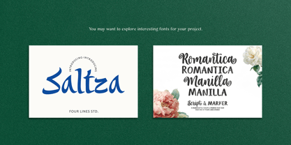 Artista Attitude Font Poster 11