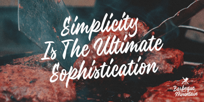 Artista Attitude Font Poster 7