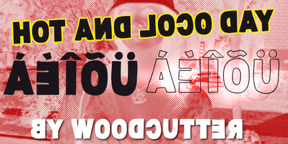 Hot And Loco Day Font Poster 5