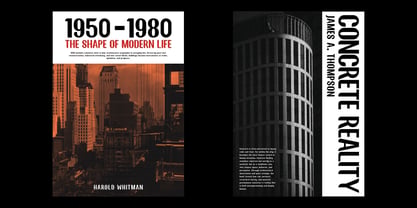 Henkei Grotesk Font Poster 6
