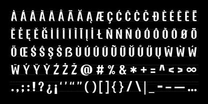 Henkei Grotesk Font Poster 4