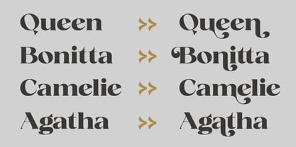 Fanilex Font Poster 14