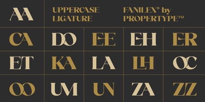 Fanilex Font Poster 12