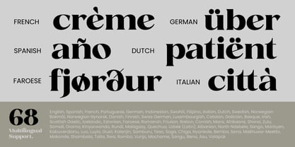 Fanilex Font Poster 9