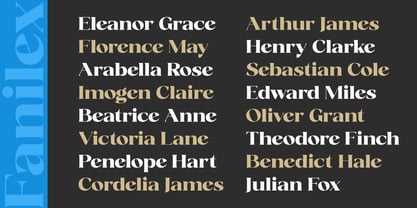 Fanilex Font Poster 6