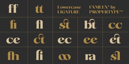 Fanilex Font Poster 13