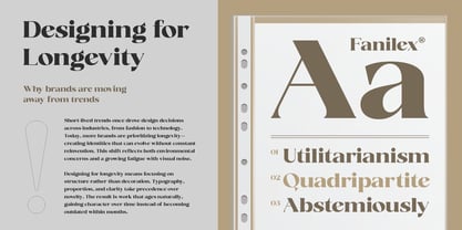 Fanilex Font Poster 4