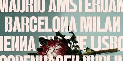 SLTF Rettiko Font Poster 12