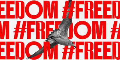 SLTF Rettiko Font Poster 15