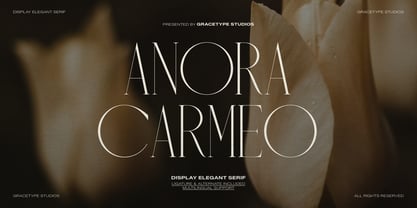 Anora Carmeo Font Poster 1