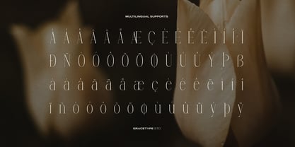 Anora Carmeo Font Poster 11