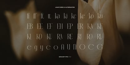 Anora Carmeo Font Poster 12