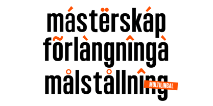 Bounder Font Poster 14