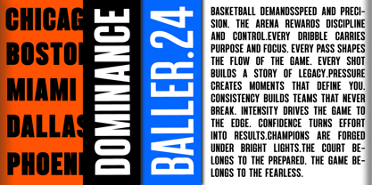 Bounder Font Poster 3