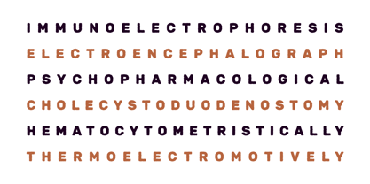 Mutton Font Poster 6