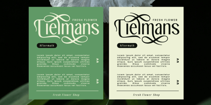 Zestiar Font Poster 4