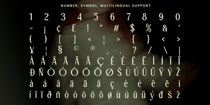 Zestiar Font Poster 10