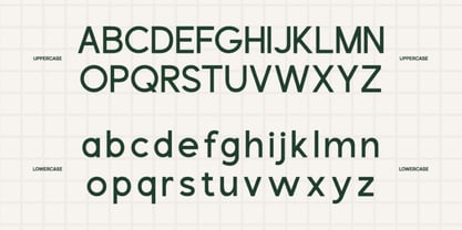 Mora Flore Font Poster 2
