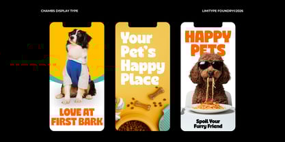 Chambs Font Poster 9