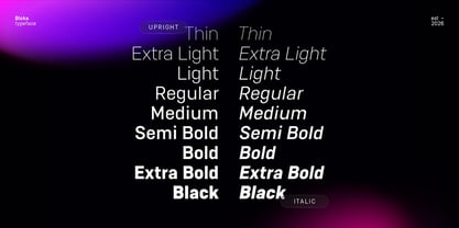 Bloka Sans Font Poster 3