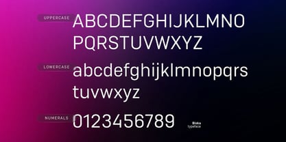 Bloka Sans Font Poster 11