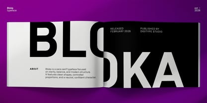 Bloka Sans Font Poster 12