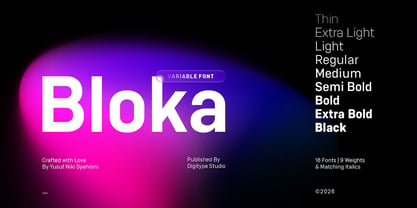 Bloka Sans Font Poster 1