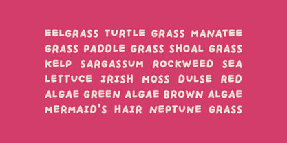 Handpicked Seashells Font Poster 7