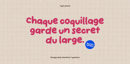 Handpicked Seashells Font Poster 5