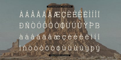Therodit Font Poster 11