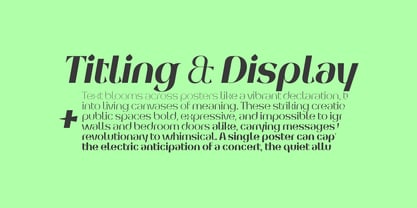 Arko Poster Font Poster 6