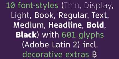 Accessibility Font Variable Font Poster 4